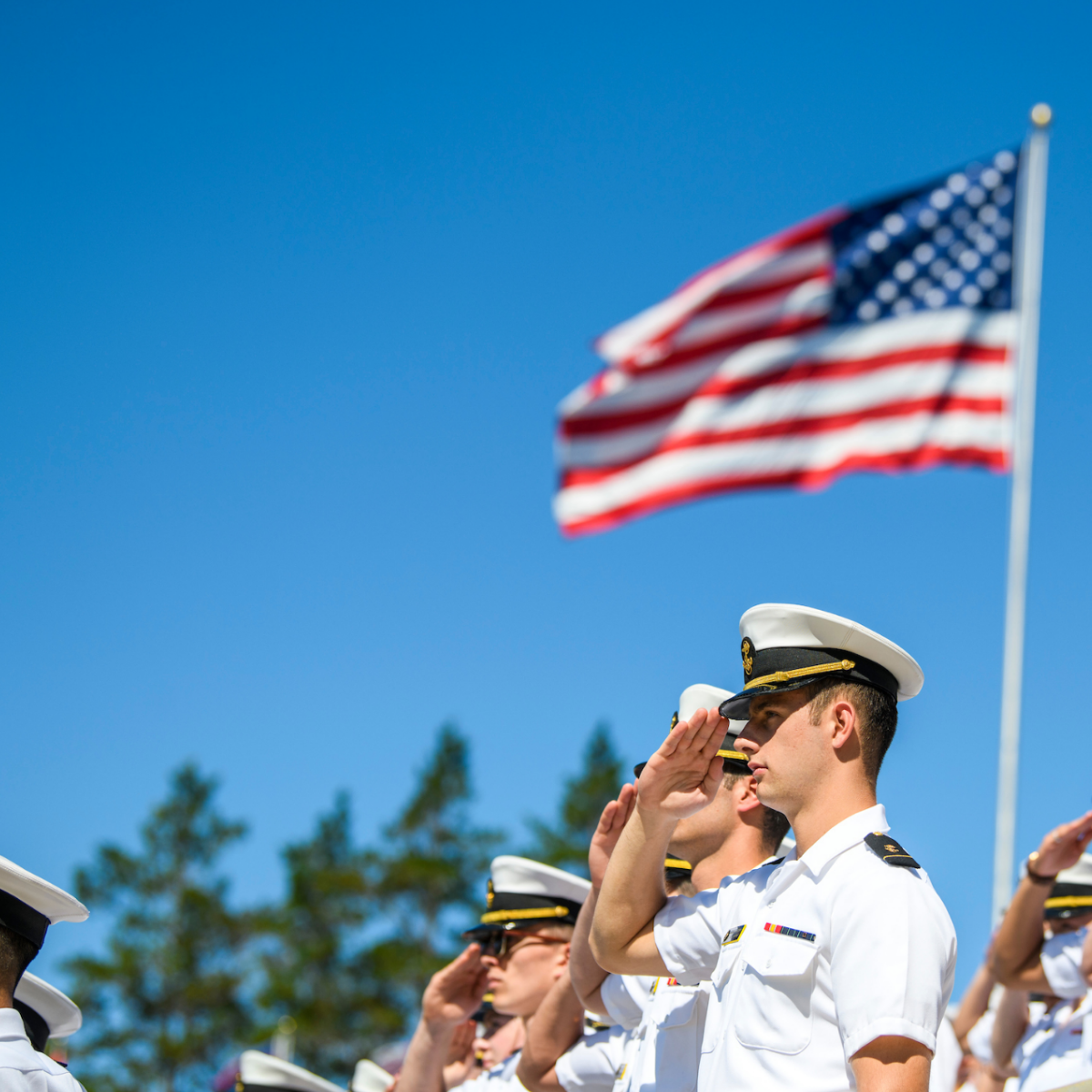 US Naval Academy Gartenflagge | Doppelseitig, 100% Polyester | Design A Für Garten & Balkon